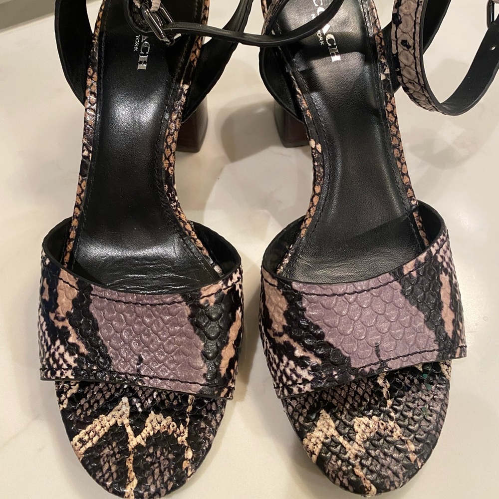 Coach lizard multi-colored sandals